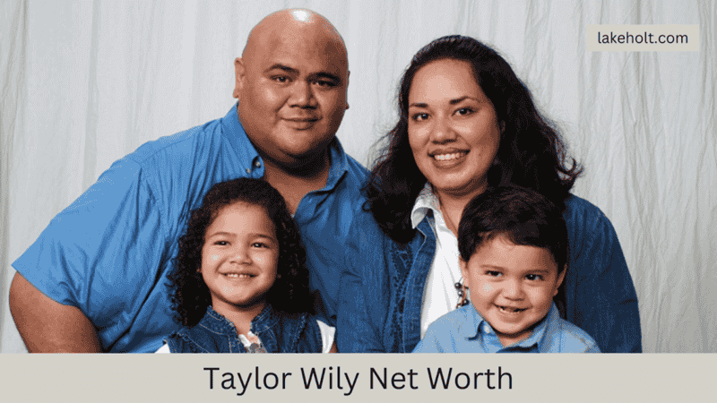 taylor wily net worth